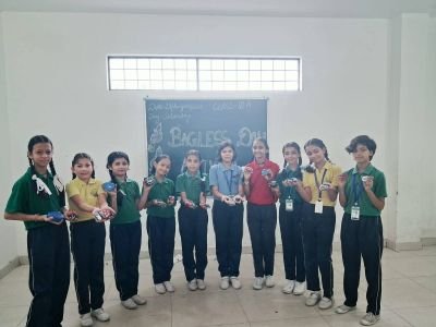 Topic -Stone painting Bagless day Activity